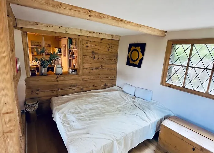 Chalet 펜션 Benken (St. Gallen)